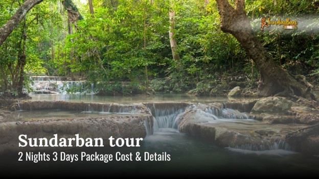 Guide to Sundarban Tour