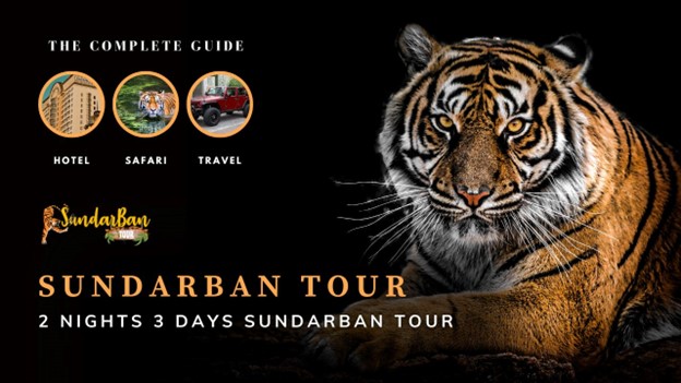 Sundarban Tour from Kolkata