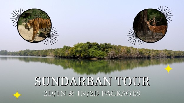 Sundarban Tour