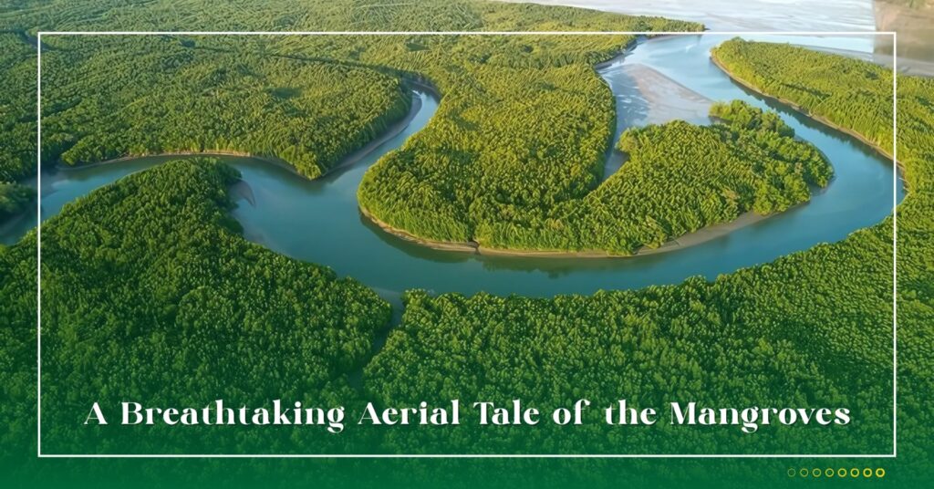 Sundarban Mangrove