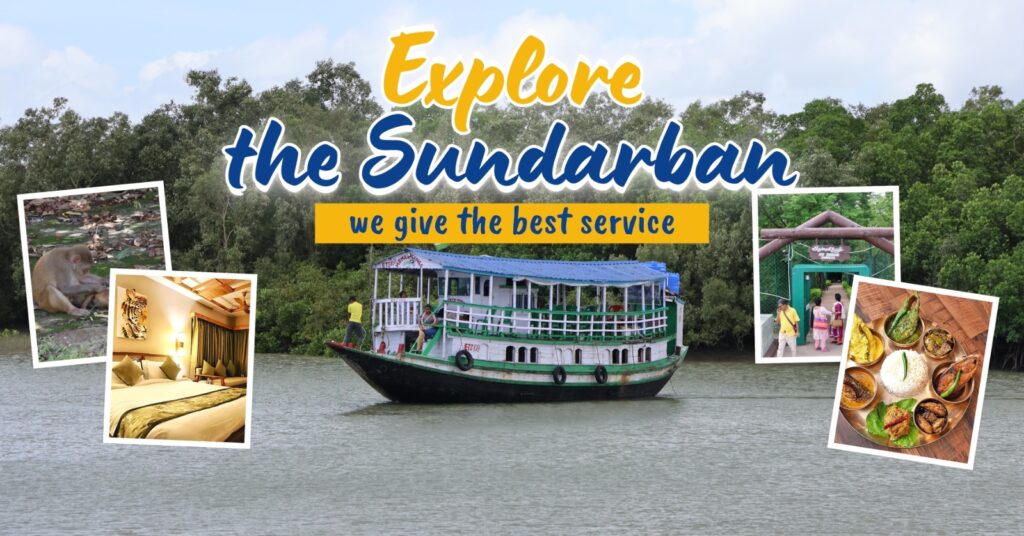 sundarban boat tour mangrove beauty