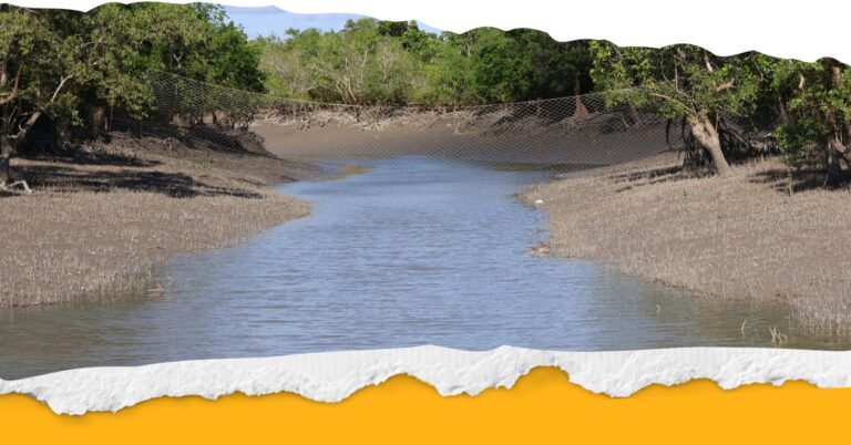 Climate in Sundarban – Sundarban Tour Planner
