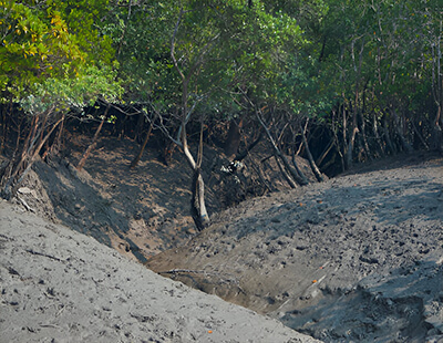 sundarban khanri