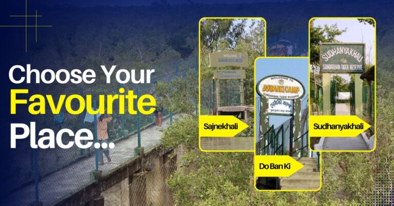 Top 10 Sundarban Tour Spots You Must Visit for an Unforgettable Trip